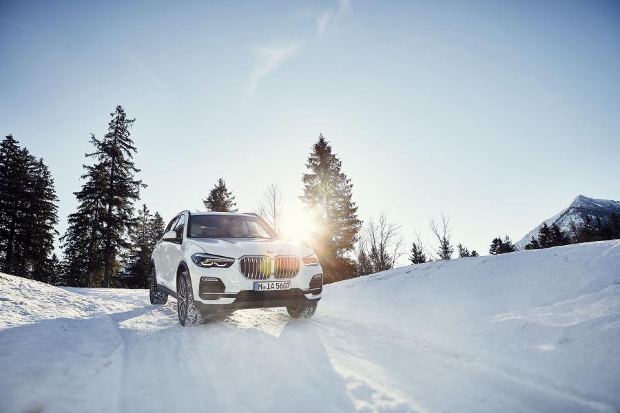  BMW X5 xDrive45e iPerformance (G05) 2018 года  (WW) (фото 8 из 8)